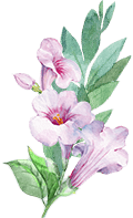 over-floral-sml